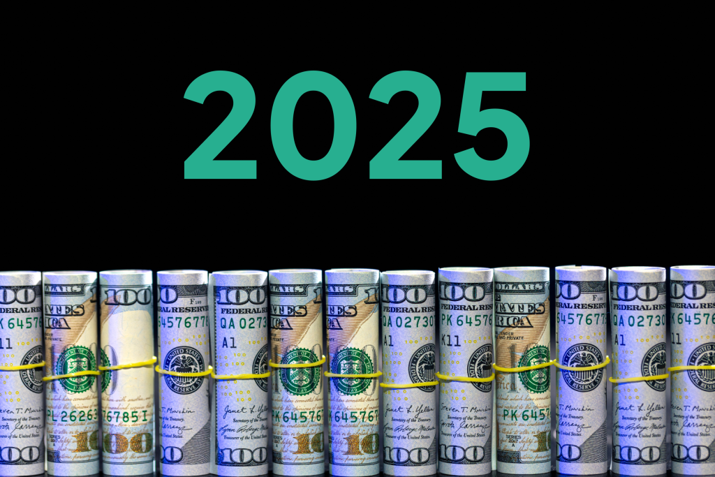 Dolar/TL 2025 Tahminleri