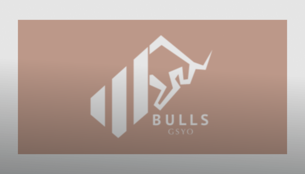 Bulls Girişim Halka Arzı