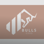 Bulls Girişim Halka Arzı