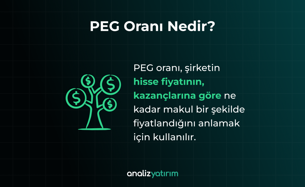 PEG Oranı Nedir