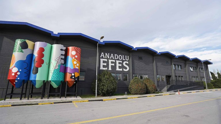 Anadolu Efes Bilançosu