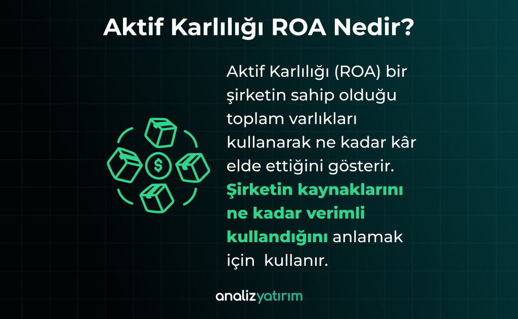 Aktif Karlılığı ROA Nedir?