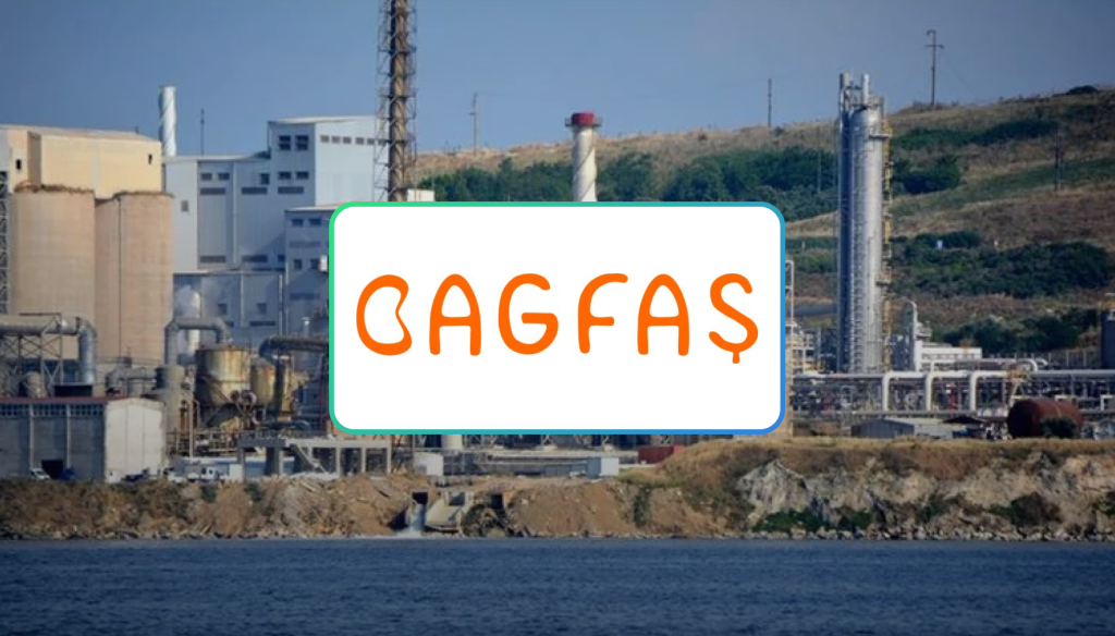 Bagfaş BAGFS Bilanço Rakamları