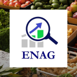ENAG Nisan Enflasyonu