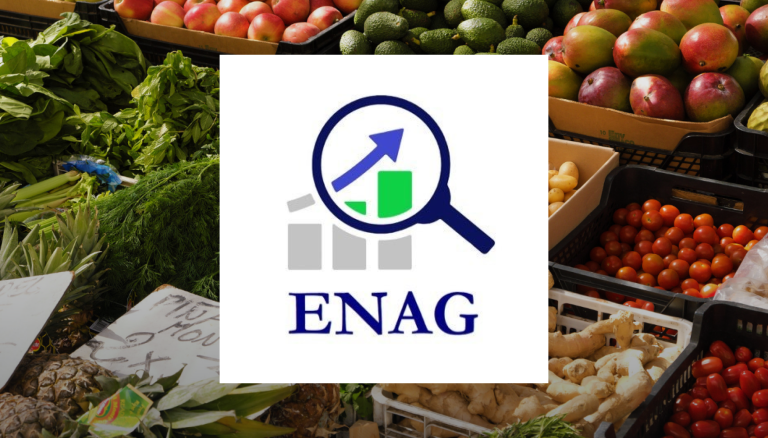 ENAG Nisan Enflasyon Verileri Açıklandı Aylık Artış Yüzde 4,46 ENAG Nisan Enflasyonu