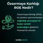 Özsermaye Karlılığı ROE Nedir?