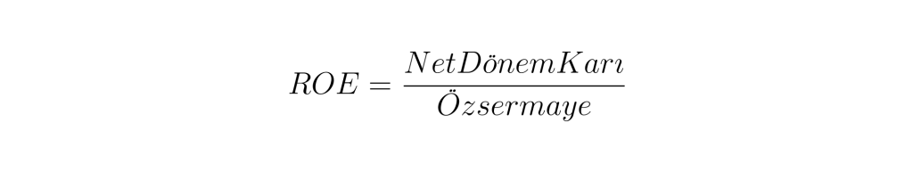 ROE Formülü