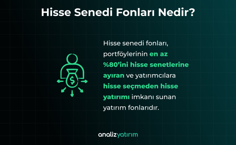 Hisse Senedi Fonları Nedir?