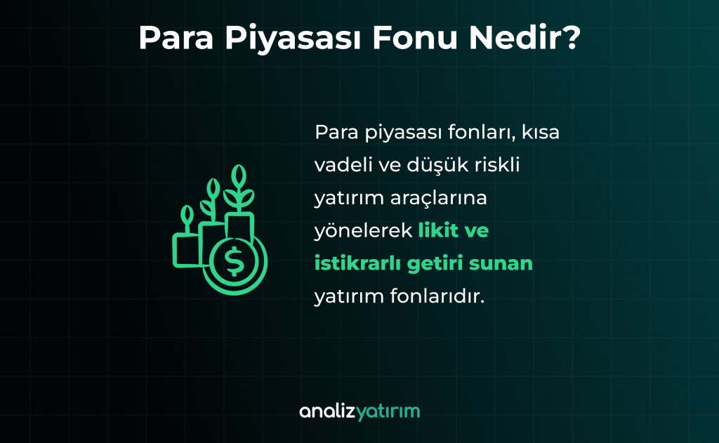 Para Piyasası Fonu Nedir?