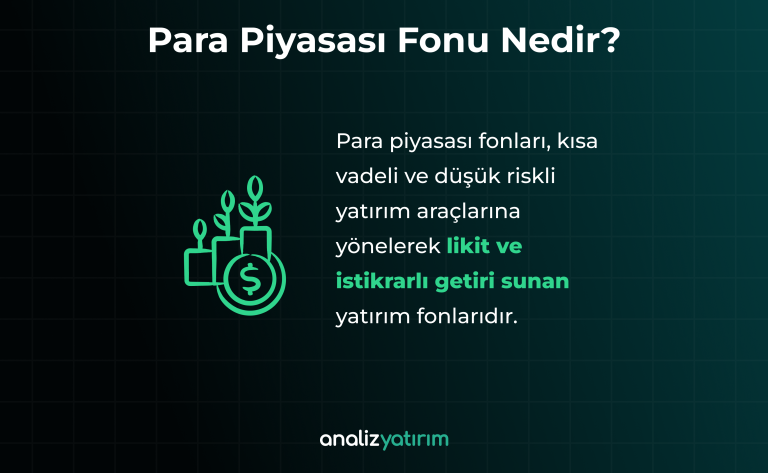 Para Piyasası Fonu Nedir? PPF Ne Zaman Hesaba Geçer? Para Piyasası Fonu Nedir?