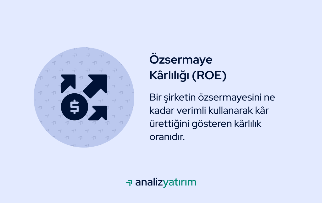 roe nedir